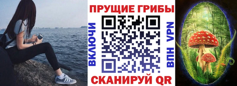 Галлюциногенные грибы прущие грибы  где купить   Чишмы 